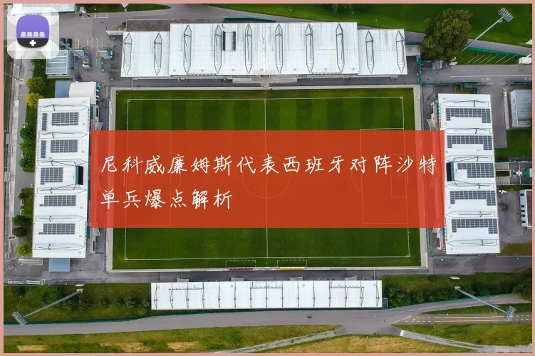 尼科威廉姆斯代表西班牙对阵沙特单兵爆点解析