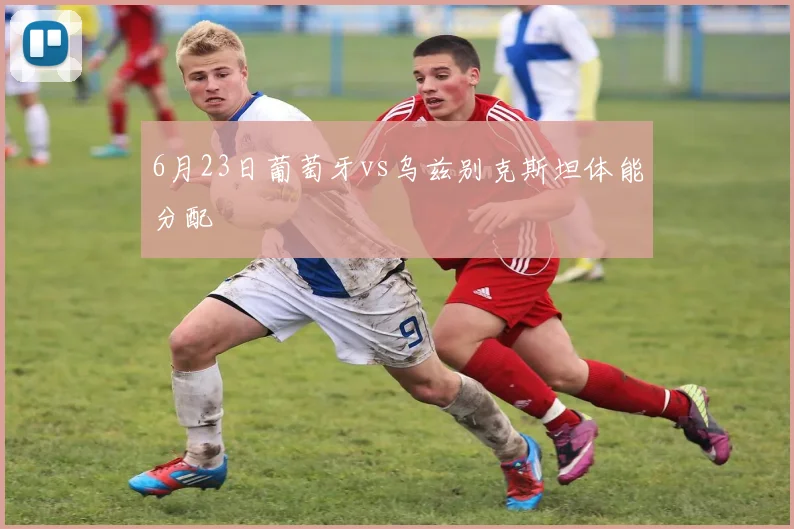 6月23日葡萄牙vs乌兹别克斯坦体能分配