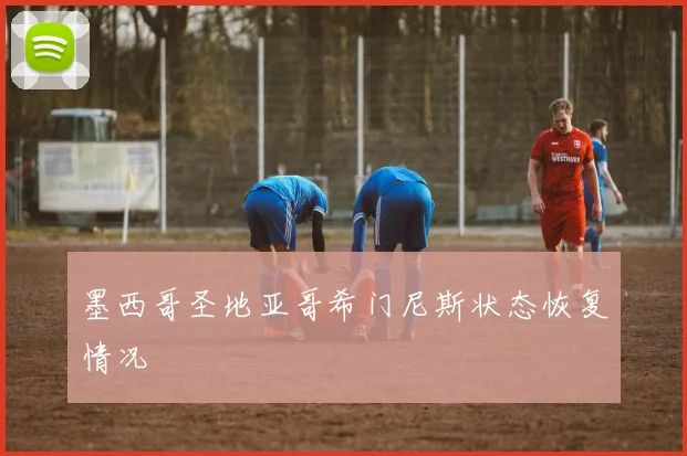 墨西哥圣地亚哥希门尼斯状态恢复情况